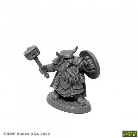 Borin Ironbow Dwarf