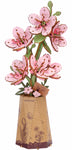 LocalID_119157 