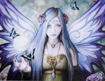 LocalID_113913 