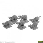 Giant Tomb Rats