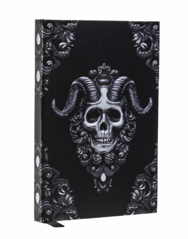 Demon Skull Journal C/36