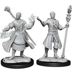Half-Elf Wizard