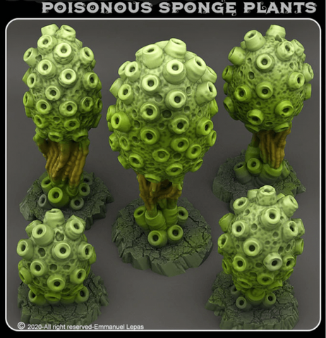 Poisonous Sponge Plant Pack