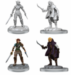 Elf Rogue & Half-Elf Rogue