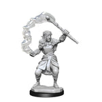 D&D Nolzurs Marvelous Miniatures - Firbolg Druid Female (Wave 13)