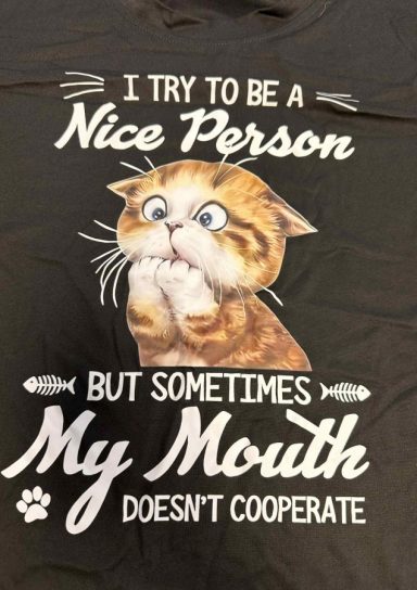 I Try To Be a Nice Person Shirt