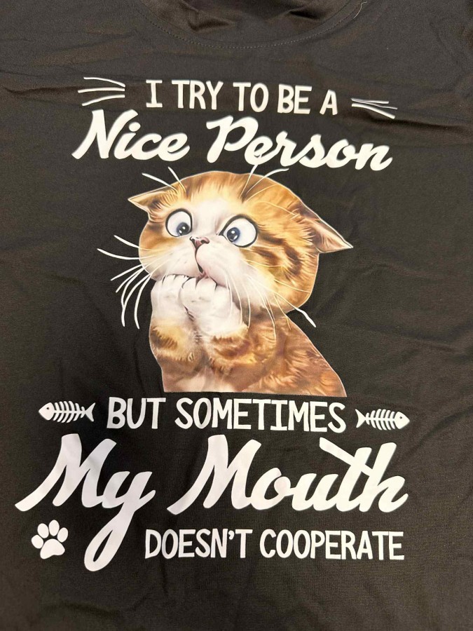 I Try To Be a Nice Person Shirt