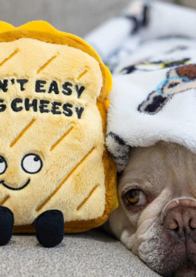 “It Ain’t Easy Being Cheesy” Plush Grilled Cheese