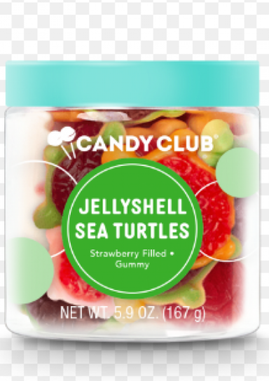Jellyshell Sea Turtles