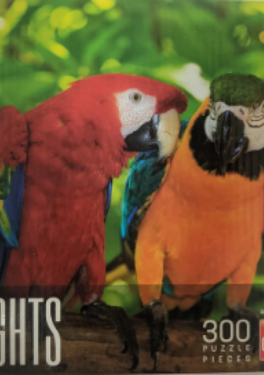 Brights Puzzle: Parrots